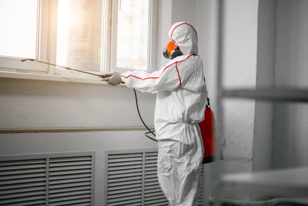 Professional mold remediation services in Hartland, MI